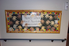 Photo-17