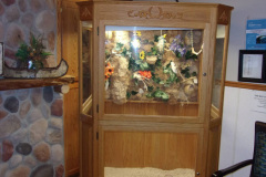 Photo-26